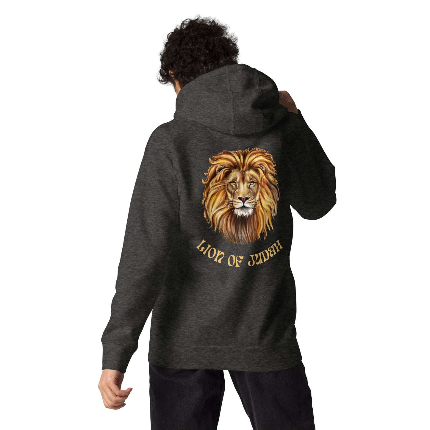 Lion of Judah Unisex Hoodie - Upward Focus
