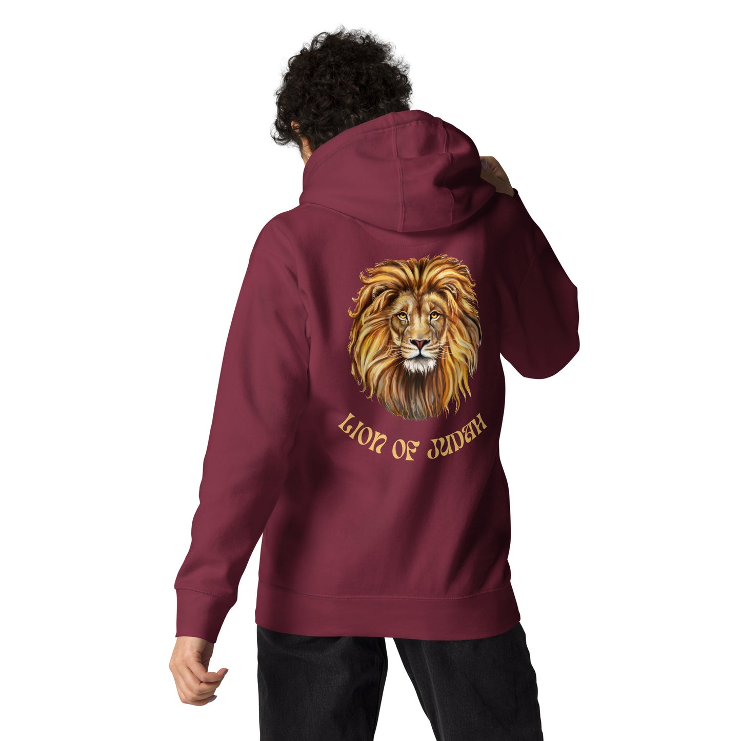 Lion of Judah Unisex Hoodie - Upward Focus