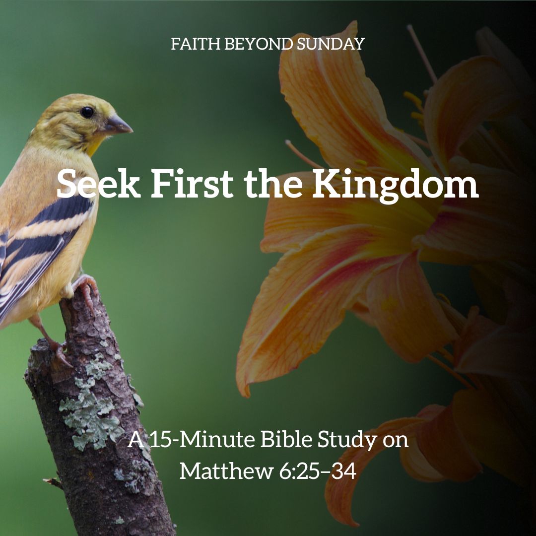 Seek First the Kingdom