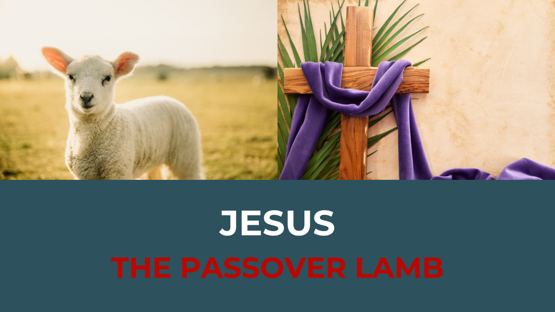 Passover Lamb and Cross