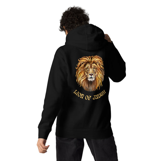 Lion of Judah Hoodie Christian Clothing Upward Focus